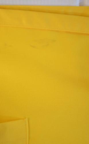 Hiza Gelbe Bistroschrze mit Hfttaschen